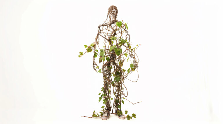 few vines growing in the shape of a man, front face, full body, white background --ar 16:9 --stylize 50 --v 6 Job ID: 56e75ae0-a1d8-41b0-b67a-09dbd181b781